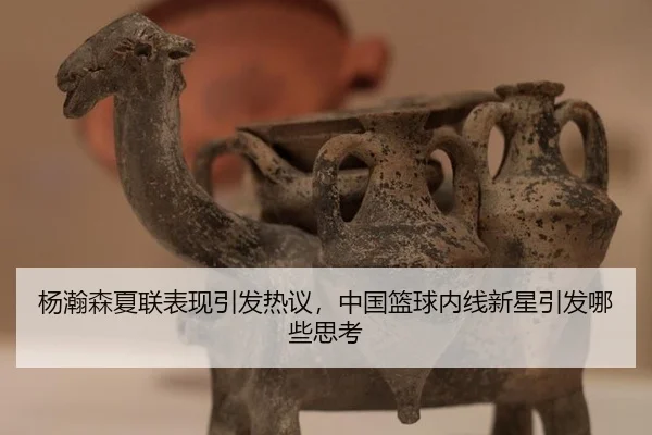 杨瀚森夏联表现引发热议，中国篮球内线新星引发哪些思考